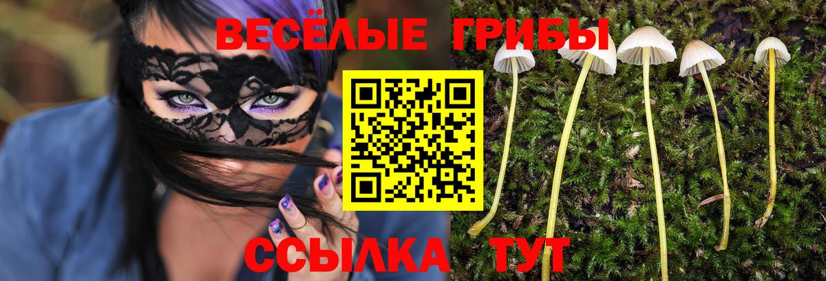 Галлюциногенные грибы MAGIC MUSHROOMS  Галлюциногенные грибы GOLDEN TEACHER  Вход с VPN  Зерноград 