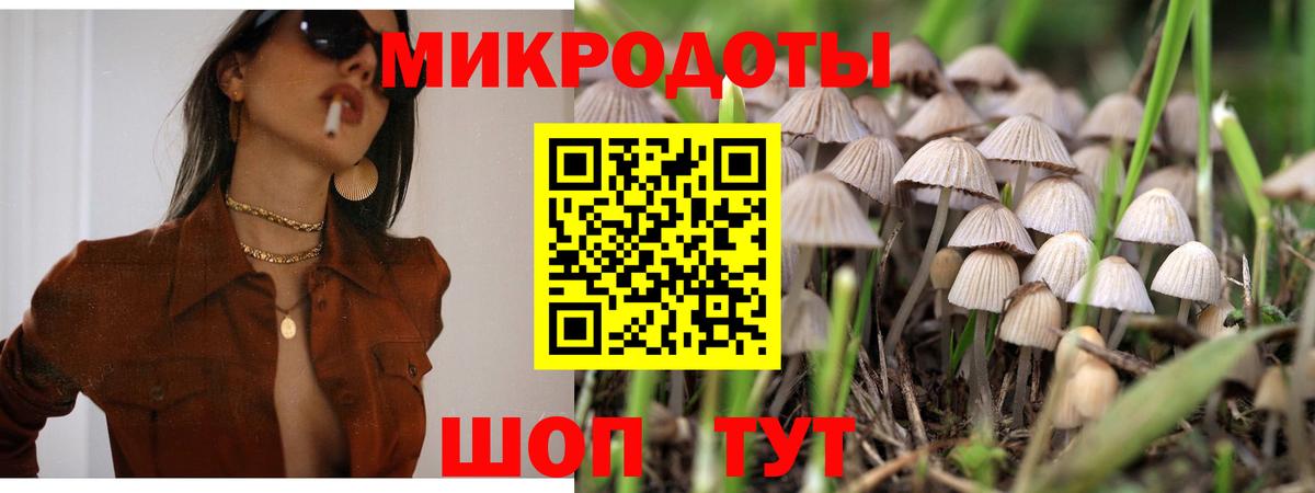 APVP Зерноград